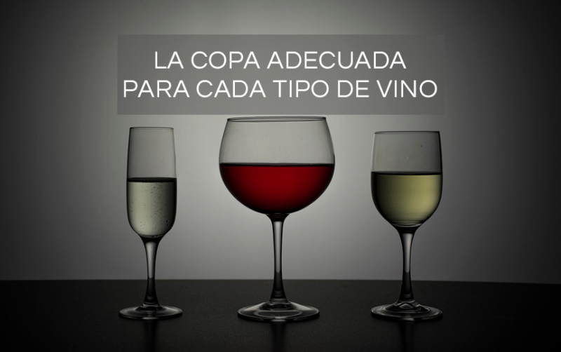 https://www.vinosdefinca21.com/wp-content/uploads/2018/02/COPA-PARA-CADA-COPA-DE-VINO-800x502.png